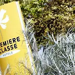 Premiere Classe Troyes Sud -